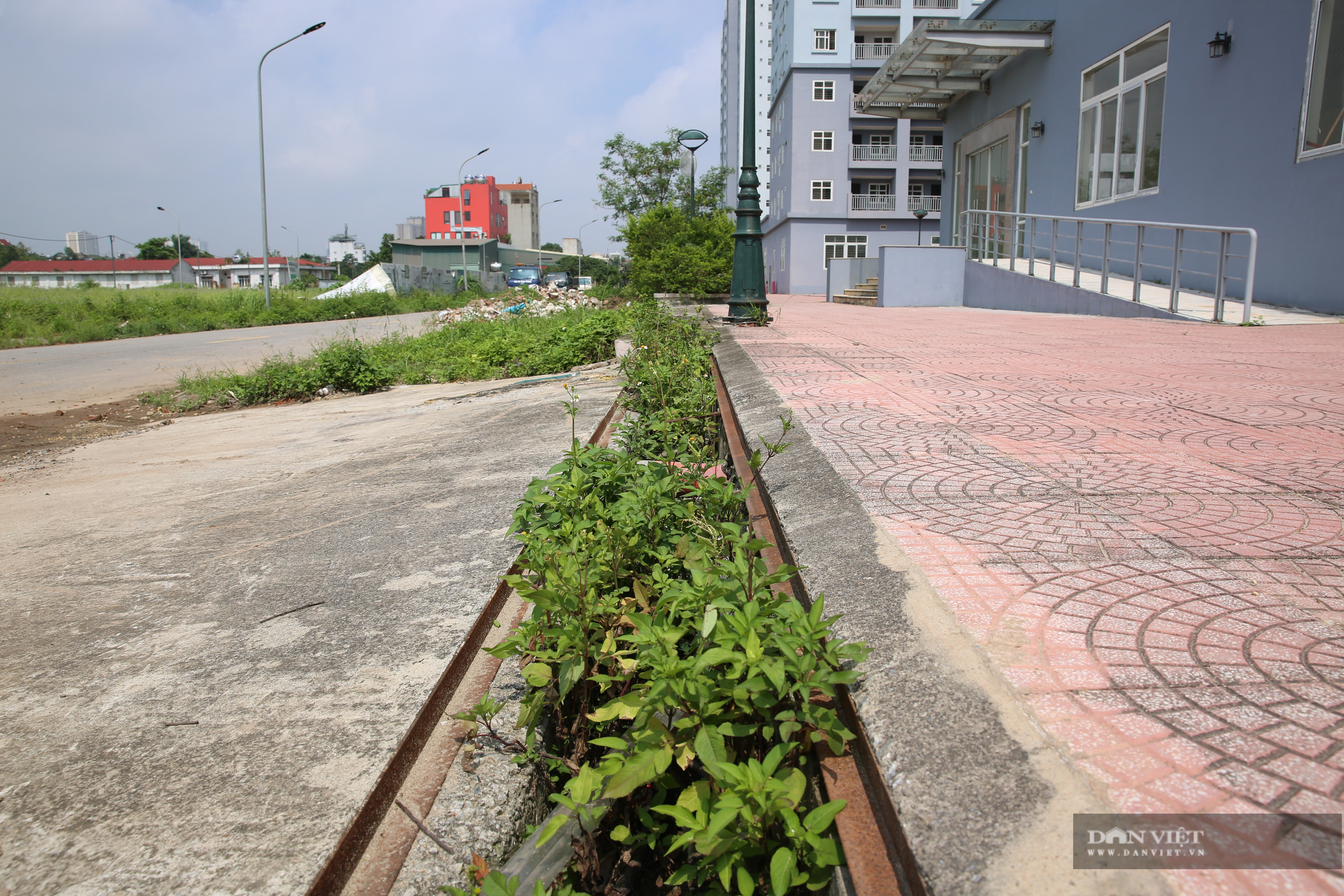 Xót xa những khối nhà chung cư bỏ hoang “phơi sương, hứng nắng” tại Hà Nội - Ảnh 8.