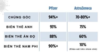 Hiệu quả của vắc xin Covid-19 với từng loại biến thể virus