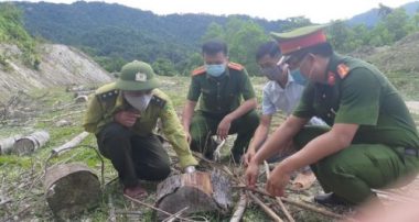 Chủ tịch Mặt trận Tổ quốc xã thuê người chặt hàng trăm cây rừng để làm gì? - Ảnh 3.