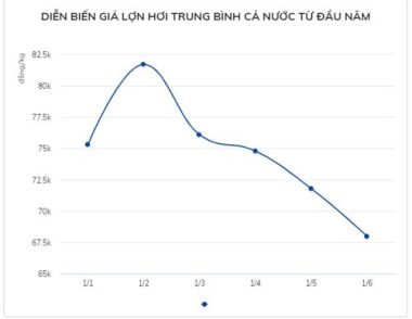 Giá lợn hơi lao dốc, thịt lợn ngoài chợ bao giờ mới rẻ?