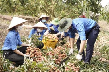 Hành trình 'chuyển quân', thần tốc cùng điểm nóng Bắc Giang