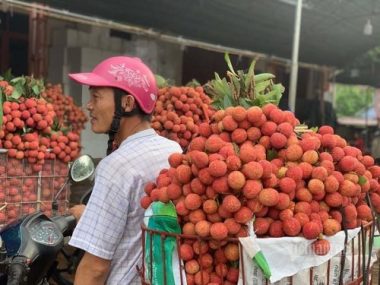 Bộ trưởng Lê Minh Hoan: Thiện nguyện không đúng cách sẽ nảy sinh bất cập