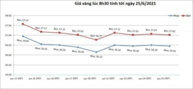 Giá vàng hôm nay 25/6: USD giảm, vàng tăng trở lại