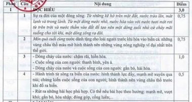 Thi tốt nghiệp THPT năm 2021 xong, ồn ào đáp án môn văn - Ảnh 3. Thi tốt nghiệp THPT năm 2021 xong, ồn ào đáp án môn văn - Ảnh 3.