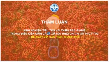 Tạo luồng xanh, vùng xanh nông sản trong lòng đại dịch