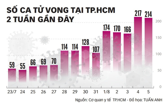 Tìm cách hạn chế F0 tử vong - Ảnh 2.