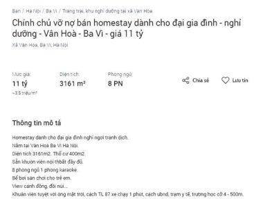 Hàng loạt homestay rao bán vì 'kiệt sức' do dịch kéo dài ảnh 2