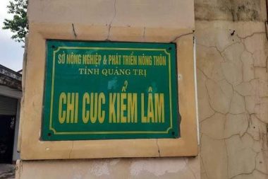 Không chuyển cơ quan điều tra vì kiểm lâm Quảng Trị sai phạm do... khách quan