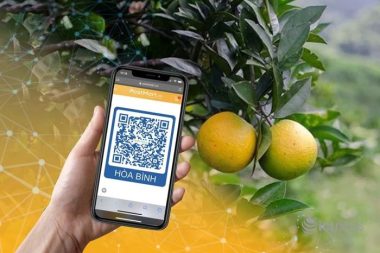 Nông dân quét mã QR để mở gian hàng trên sàn Postmart