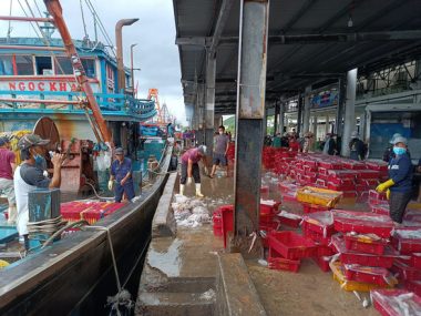 Giá xăng dầu tăng cao, tàu cá nằm bờ - Ảnh 2.