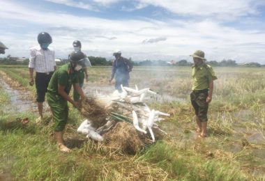 Huế: Yêu cầu xử lý nghiêm cán bộ, công chức ăn thịt chim trời, động vật rừng  - Ảnh 2.