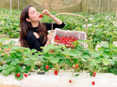 Các điểm du lịch trong nước không cần xét nghiệm PCR hay cách ly tập trung