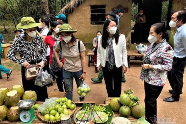 Vắc xin cho đồng bằng sông Cửu Long