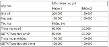 TP.HCM: Đề xuất miễn học phí công lập, hỗ trợ học phí tư thục trong học kỳ 2 - Ảnh 2.