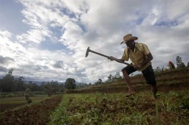 Thảm cảnh khánh kiệt vì Covid-19 ở Sri Lanka