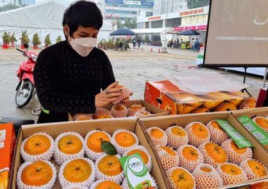 Hàng tinh hoa bán cho nhà giàu: Một cân vải 600 nghìn, dâu tây 1,2 triệu/kg