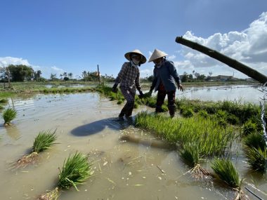 Nông dân làm... mo đồ du lịch - Ảnh 2.