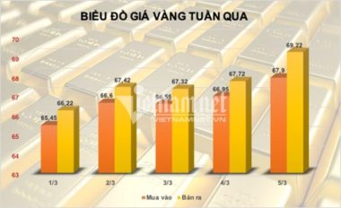 Liều mua vàng trên đỉnh, sau 1 tuần kiếm lãi không ngờ