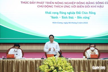 Thủ tướng yêu cầu Đồng bằng sông Cửu Long không đầu tư dàn trải, manh mún, chia cắt - Ảnh 1.