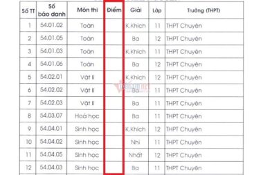 Mong đợi gì sau điều 'kỳ lạ' gần 10 năm ở kỳ thi HSG quốc gia?