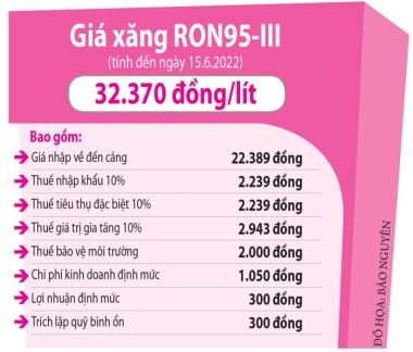 Giá xăng có thể về 23.000 đồng/lít nhờ bỏ thuế? - ảnh 2