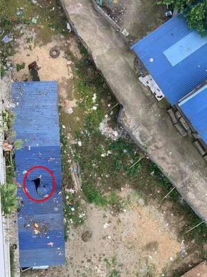 Người đàn ông rơi từ tầng 11 tử vong ở Thái Nguyên là công an-2