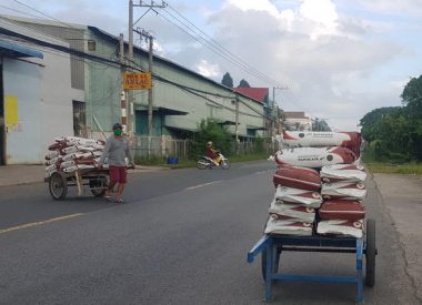 Vào mùa thấp điểm nhưng giá phân urê, kali giảm không nhiều - Ảnh 1.