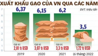 Vì sao gạo Việt đi thi hàng đầu thế giới, lại không dễ vào thị trường Âu - Mỹ? - Ảnh 3.