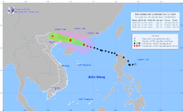 Chiều nay 25-8, bão số 3 cách Móng Cái 230km, Bắc Bộ mưa lớn, có nơi trên 250mm - Ảnh 1.