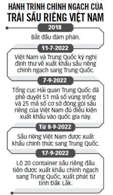 Thách thức cho trái sầu riêng - Ảnh 3.