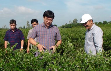 Ngành hoa kiểng rực rỡ bên dòng Sa Giang - Ảnh 1.