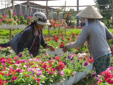 Ngành hoa kiểng rực rỡ bên dòng Sa Giang - Ảnh 4.