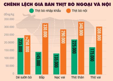 Thịt nhập đe dọa ngành chăn nuôi - Ảnh 2.