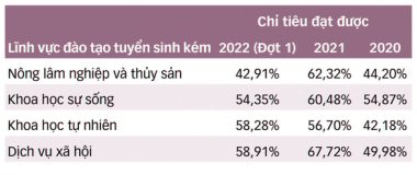 Có cách nào để cứu các ngành tuyển sinh kém? - Ảnh 3.