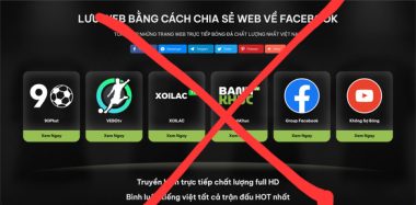 Web cá độ World Cup, xem bóng đá lậu tràn ngập cõi mạng - Ảnh 6.