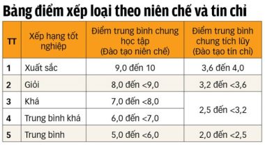 Quá nhiều sinh viên loại giỏi và xuất sắc! - Ảnh 2.