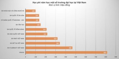 Nhiều trường đại học có học phí trăm triệu đồng/năm, đó là những trường nào? - Ảnh 2.