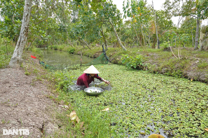 Người mẹ có cô con gái bị gù lưng ước 