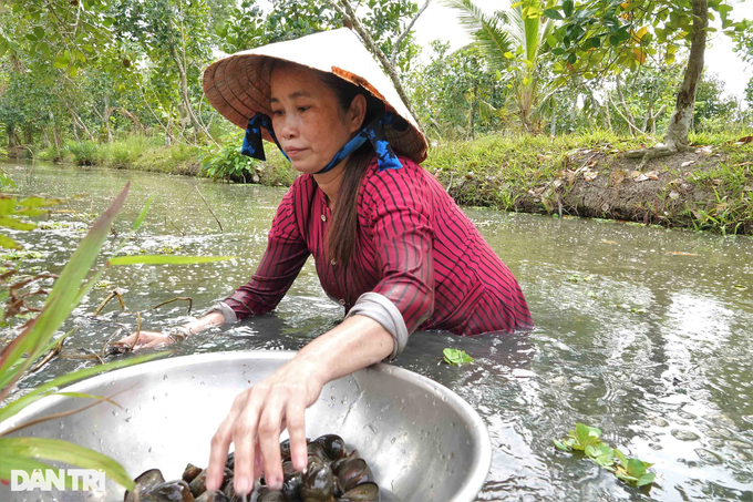 Người mẹ có cô con gái bị gù lưng ước 