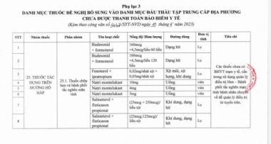 TP.HCM kiến nghị Bộ Y tế gỡ vướng đấu thầu cung ứng thuốc tại trạm y tế - Ảnh 3.