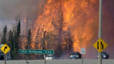 Chảy rừng ở Canada - Ảnh: CTV NEWS