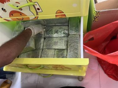 Triet pha ma tuy: Bat giu toan bo duong day, khong 'danh khuc giua' hinh anh 2