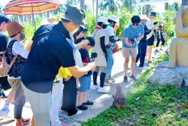 Khách Hàn Quốc đến Khánh Hòa dịp hè tăng mạnh - Ảnh: MINH CHIẾN