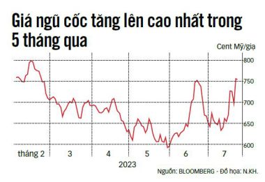 Những hạt giống chống đói - Ảnh 2.