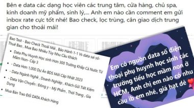 Rao bán dữ liệu học sinh tràn lan trên mạng xã hội - Ảnh chụp màn hình