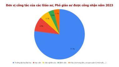 Đơn vị công tác của các tân giáo sư, phó giáo sư - Đồ họa: TRỌNG NHÂN