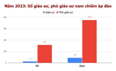 Số lượng tân giáo sư, phó giáo sư phân theo giới tính - Đồ họa: TRỌNG NHÂN