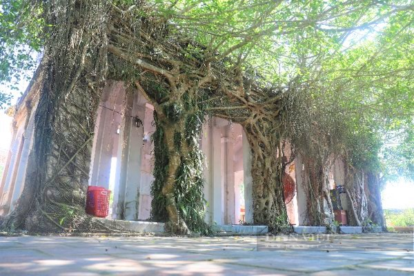 Ngôi đền cổ thời Lý ở Hà Tĩnh linh thiêng thờ con trai thứ 8 của vua Lý Thái Tổ - Ảnh 5. Ngôi đền cổ thời Lý ở Hà Tĩnh linh thiêng thờ con trai thứ 8 của vua Lý Thái Tổ - Ảnh 5.